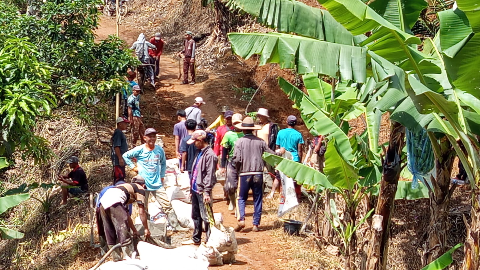 Pengerasan Jalur Jalan SDN 3 Karang Agung